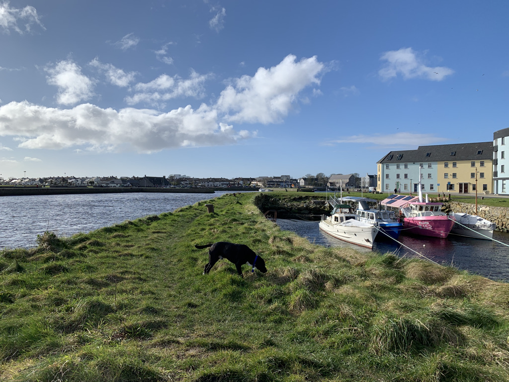 Ireland’s Bilingual City - Galway